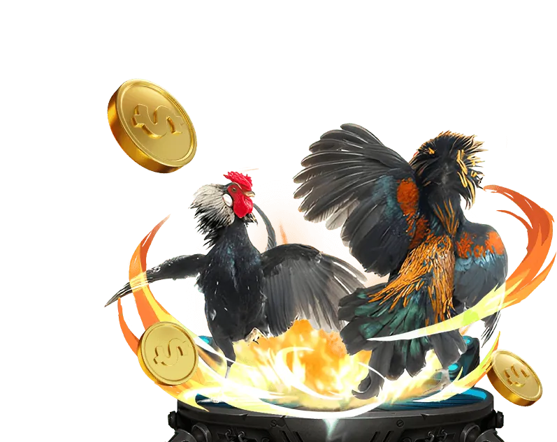 Cá cược thể thao 55my