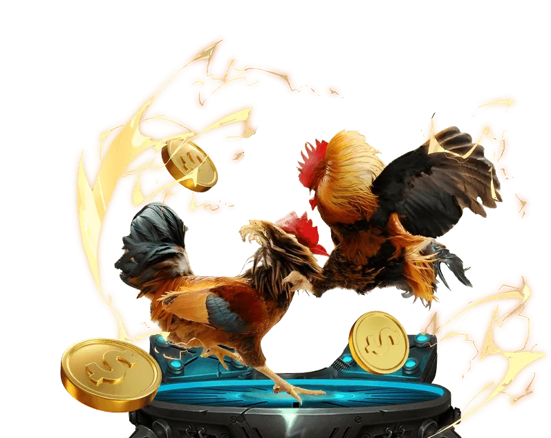 Tỷ lệ thắng cược cao